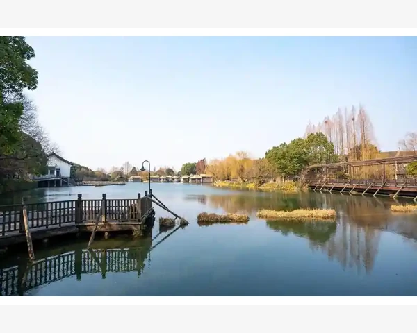 中医传统方剂 用于缓解咳嗽和清肺热的有效方法